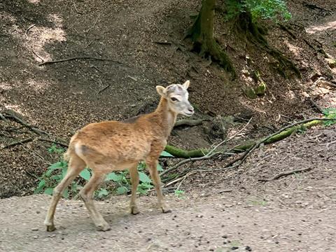 Besuch im Eifelpark - News